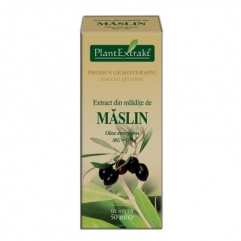 Extract din mladite de MASLIN - Olea europaea 50 ml